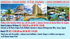 CALDAS NOVAS WEB